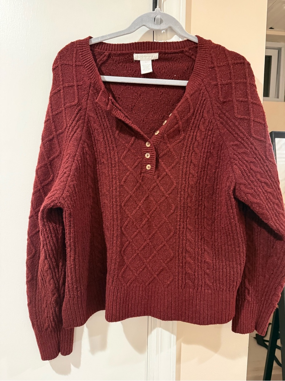 Design History Cable Knit V-Neck Sweater in Burgundy